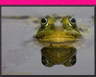 SSTV image from IU0FBK_20M