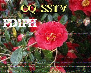 SSTV image from IU0FBK_20M