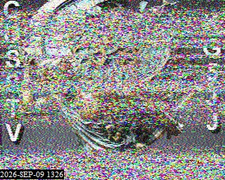 SSTV image from KO5MO_20M