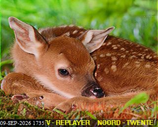 SSTV image from PA3BHW_2M