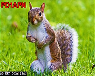 SSTV image from PA3BHW_2M