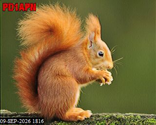 SSTV image from PA3BHW_2M