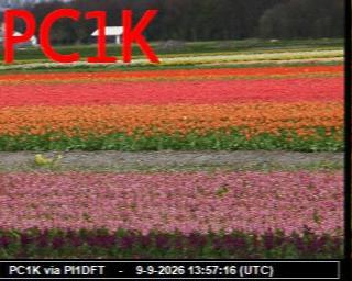 SSTV image from PC1K_2M