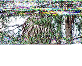 SSTV image from WF3F_20M