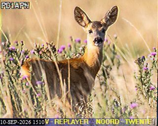 SSTV image from PA3BHW_2M