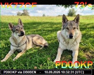 SSTV image from PI1DFT_2M