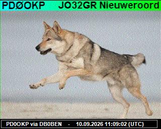 SSTV image from PI1DFT_2M