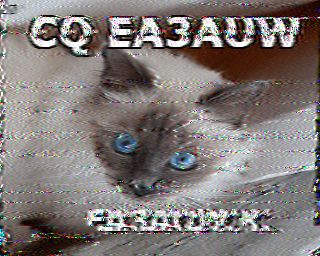 SSTV image from WF3F_20M