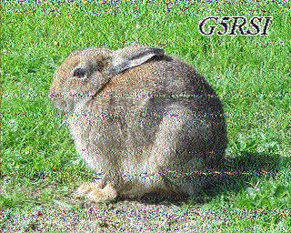 SSTV image from IU0FBK_20M