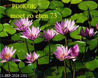 SSTV image from PA3BHW_2M