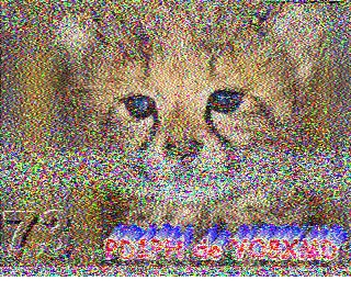 SSTV image from PD2PW_20M