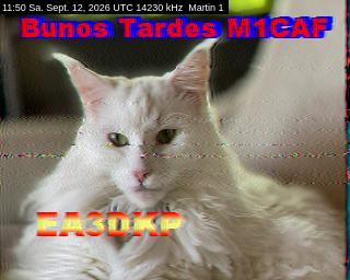 SSTV image from DC4ML_20M
