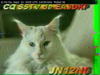 SSTV image from DC4ML_20M