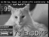 SSTV image from DC4ML_20M