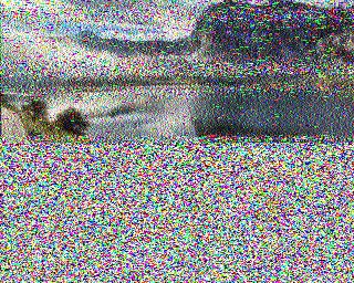 SSTV image from IU0FBK_20M