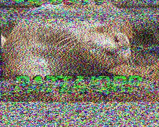 SSTV image from IU0FBK_20M