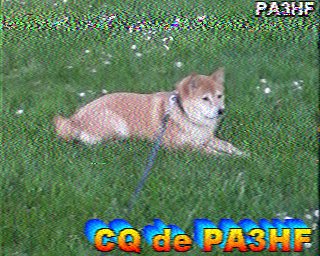 SSTV image from IU0FBK_20M