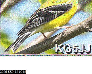 SSTV image from KP4TR_20M