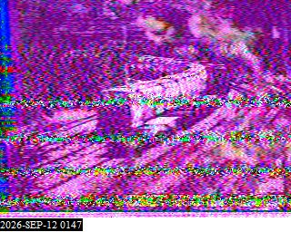 SSTV image from KP4TR_20M