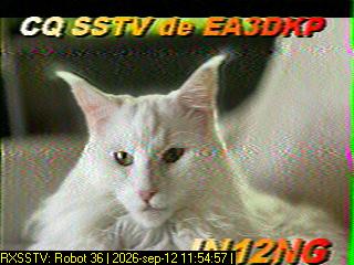 SSTV image from PA0041SWL_20M