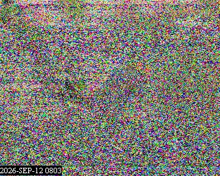 SSTV image from PA0041SWL_80M