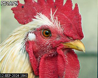 SSTV image from PA3BHW_2M