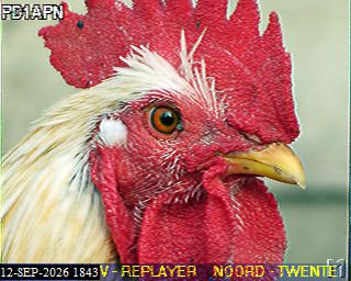 SSTV image from PA3BHW_2M