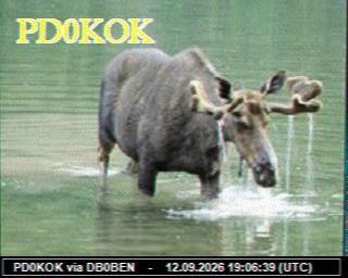 SSTV image from PC1K_2M