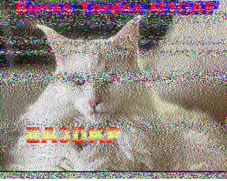 SSTV image from PD2PW_20M
