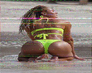 SSTV image from WF3F_20M