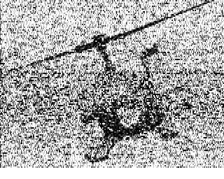 SSTV image from WF3F_20M