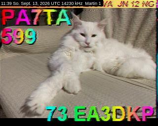 SSTV image from DC4ML_20M