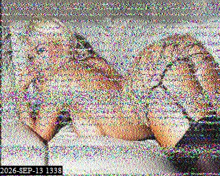 SSTV image from KO6KL_20M