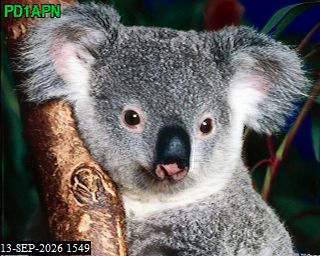 SSTV image from PA3BHW_2M