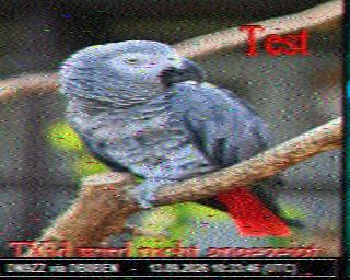 SSTV image from PC1K_2M