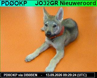 SSTV image from PI1DFT_2M