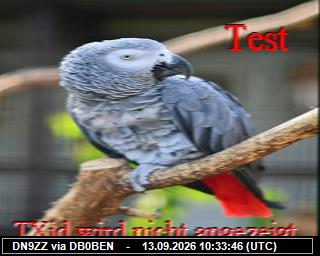 SSTV image from PI1DFT_2M