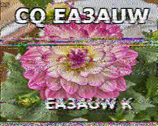 SSTV image from WF3F_20M