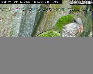 SSTV image from DC4ML_20M
