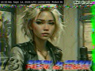 SSTV image from DC4ML_20M