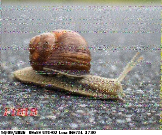 SSTV image from F4HKJ_20M