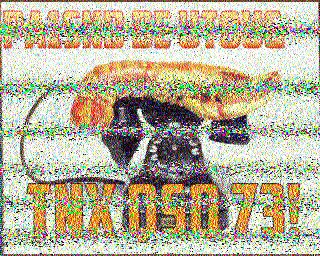 SSTV image from IU0FBK_20M