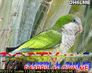 SSTV image from PA0041SWL_20M
