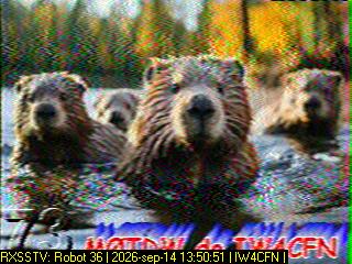 SSTV image from PA0041SWL_20M