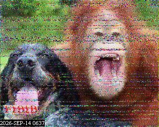 SSTV image from PA0041SWL_80M