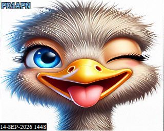 SSTV image from PA3BHW_2M