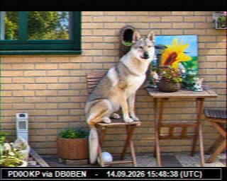 SSTV image from PC1K_2M