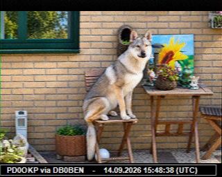 SSTV image from PD5JTB_2M
