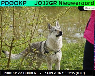 SSTV image from PI1DFT_2M