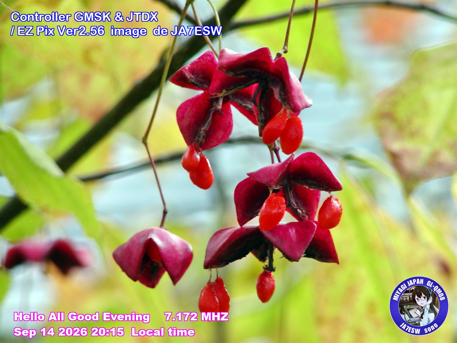 SSTV image from VK2DGH_2M